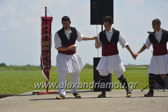 alexandriamou.gr_trikala28.5.2018077